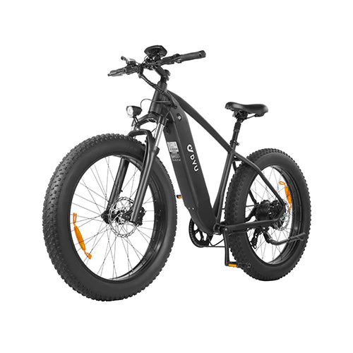 DYU King 750 - Vélo électrique - Wheelyshop