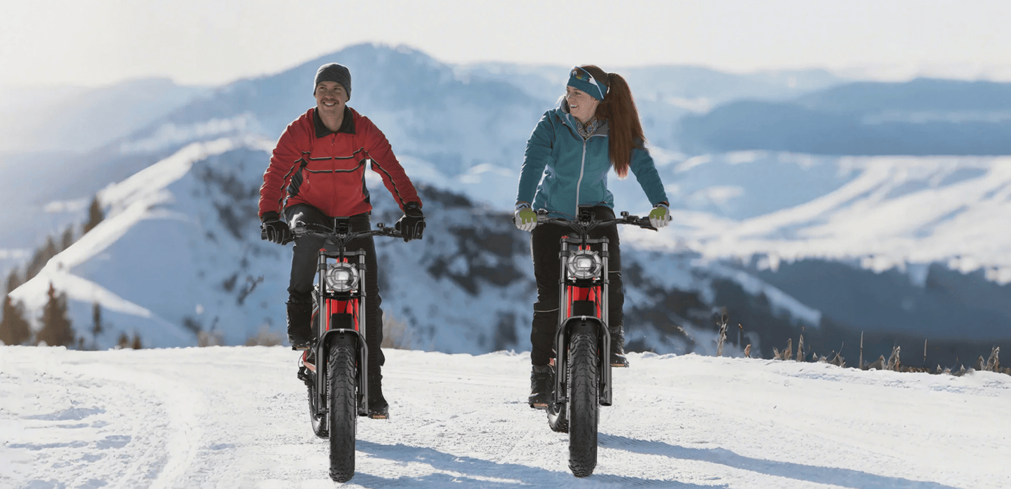 Hidoes B6 - Elcykel - Wheelyshop