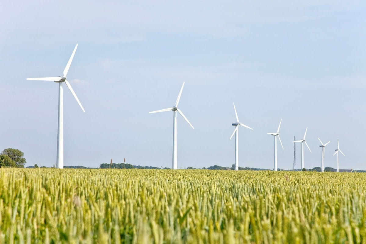 Éoliennes alignées derrière un champ de céréales vert – le coût de l’électricité pour recharger une trottinette