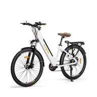Vélo électrique longue autonomie