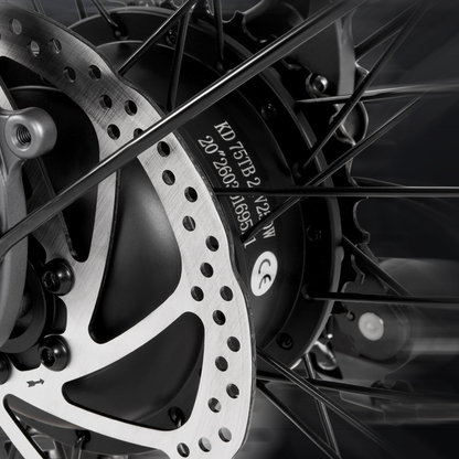 DYU SP1 - Vélo électrique - Wheelyshop