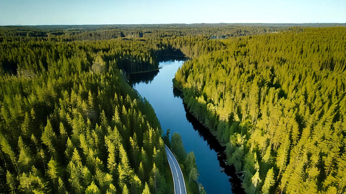 Paysage forestier avec route et eau