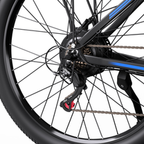 Roue arrière du Duotts C29-M