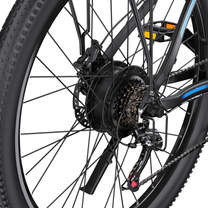 Moteur-roue du Duotts C29-M