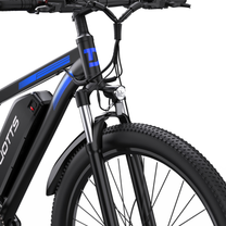 Suspension du Duotts C29-S