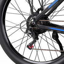 Roue arrière du Duotts C29-S