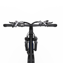 Guidon du Duotts C29-S