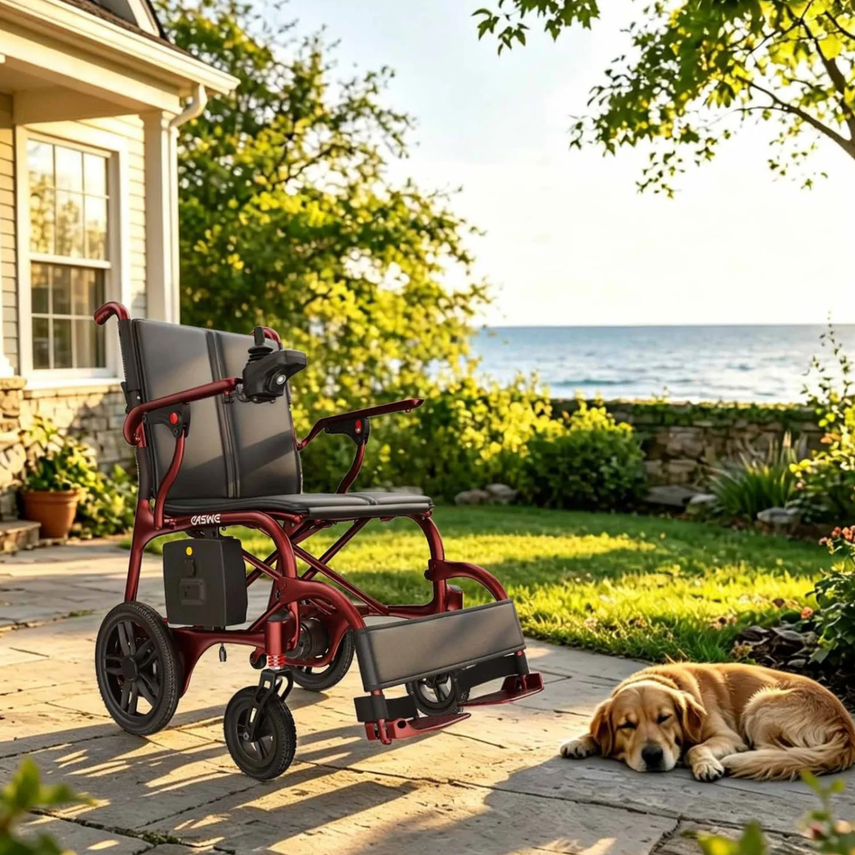 Fauteuil roulant électrique EASWE C30 vu de trois-quarts avant avec un chien au bord de la mer