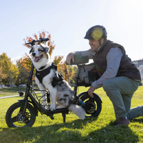 GYROOR C1 Plus - Trottinette électrique - Wheelyshop