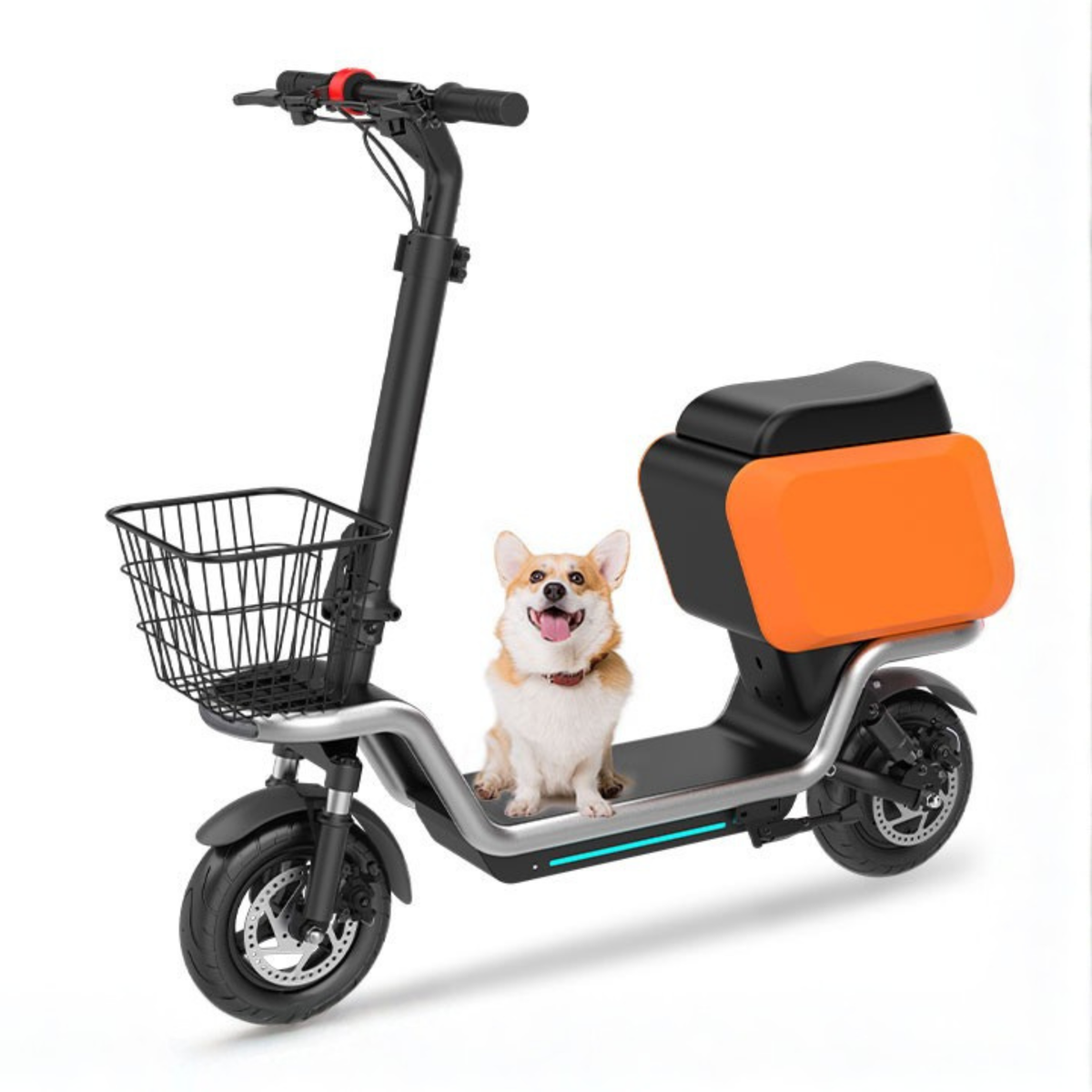 Trottinette électrique HX S20 vue de trois-quarts avant avec un chien
