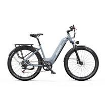 Vélo électrique OneSport WT05 vu de côté, avec cadre gris à enjambement bas, porte-bagages et garde-boue sur les roues