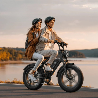 TST R002 Plus - Vélo électrique - Wheelyshop