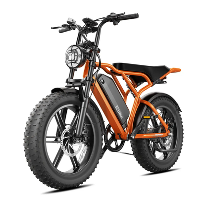 TST R002 Plus - Vélo électrique - Wheelyshop