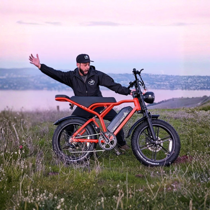 TST R002 Plus - Vélo électrique - Wheelyshop