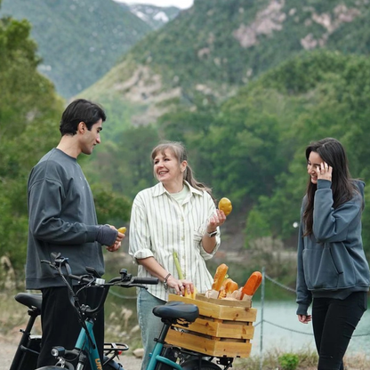 URLIFE E20 - Vélo électrique - Wheelyshop