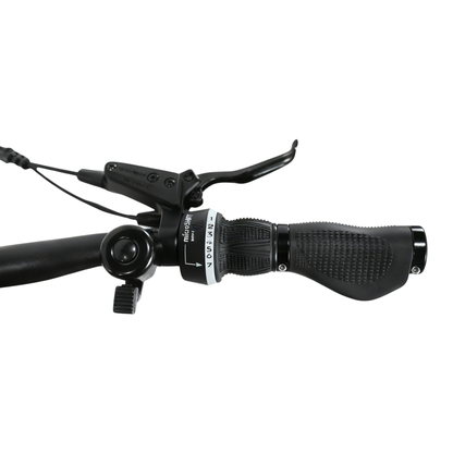 YANGOR H700 (36V 10.4Ah)