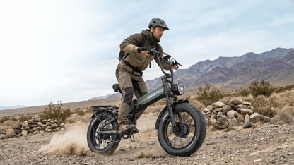 APEFOX RH20 - Elcykel - Wheelyshop