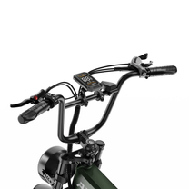 Guidon de l'APEFOX RH20