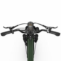 Guidon de l'APEFOX RH20