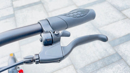 DriveTron DT08 (36V 10Ah) - Elsparkcykel - Wheelyshop