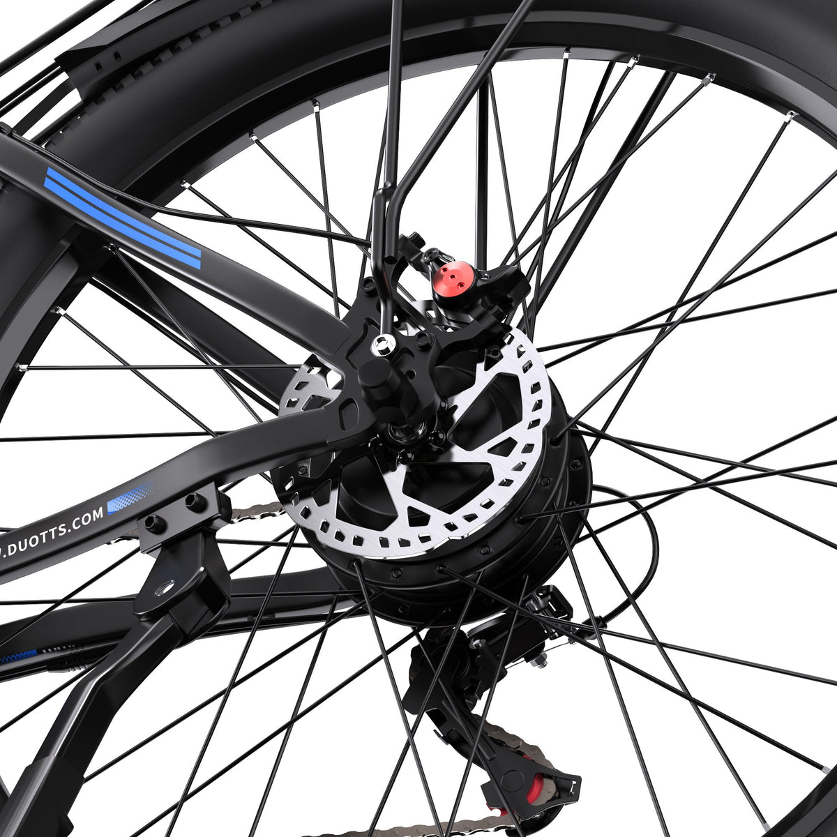 Roue arrière du Duotts C29-K en gros plan