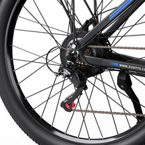 Roue arrière du Duotts C29-K