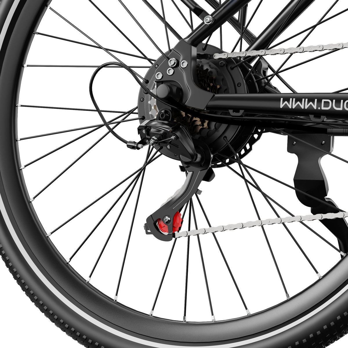 Roue arrière du Duotts C29 Max