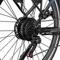 Moteur-roue du Duotts C29 Max