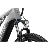 Suspension du Duotts E29