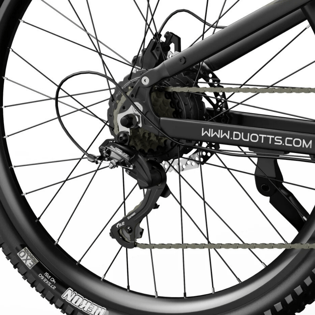 Roue arrière du Duotts E29