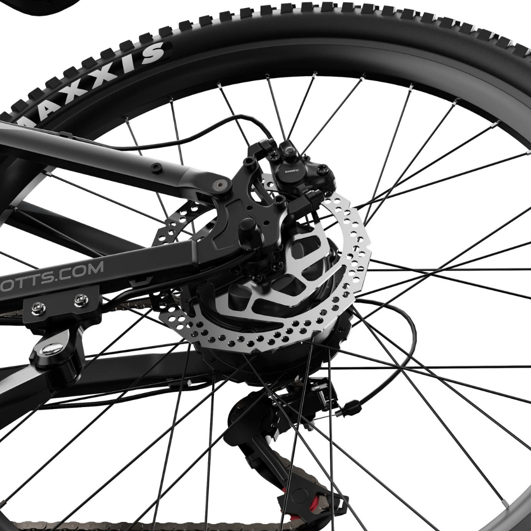 Roue arrière du Duotts E29
