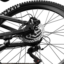Roue arrière du Duotts E29