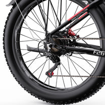 Roue arrière du Duotts F26