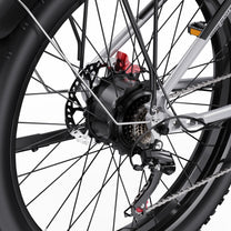 Roue arrière du Duotts F26
