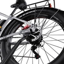 Roue arrière du Duotts F26