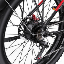 Roue arrière du Duotts F26 en gros plan