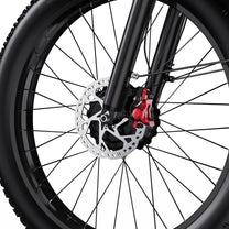 Roue avant et fourche du Duotts F26 en gros plan