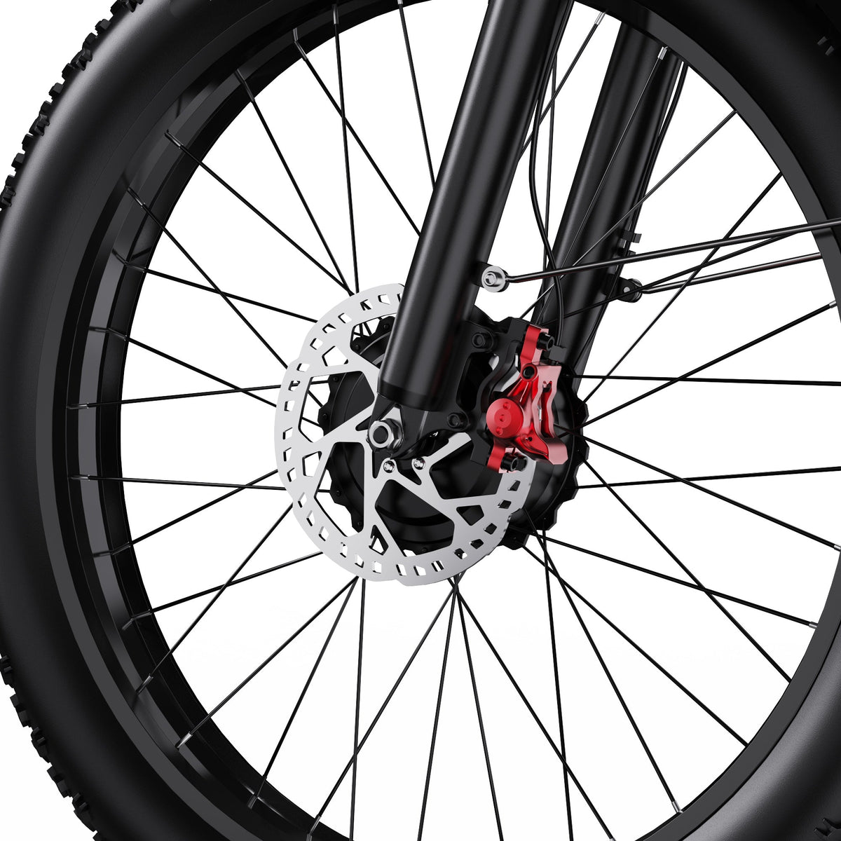 Roue avant et fourche du Duotts F26 en gros plan