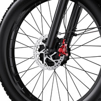 Roue avant et fourche du Duotts F26 en gros plan