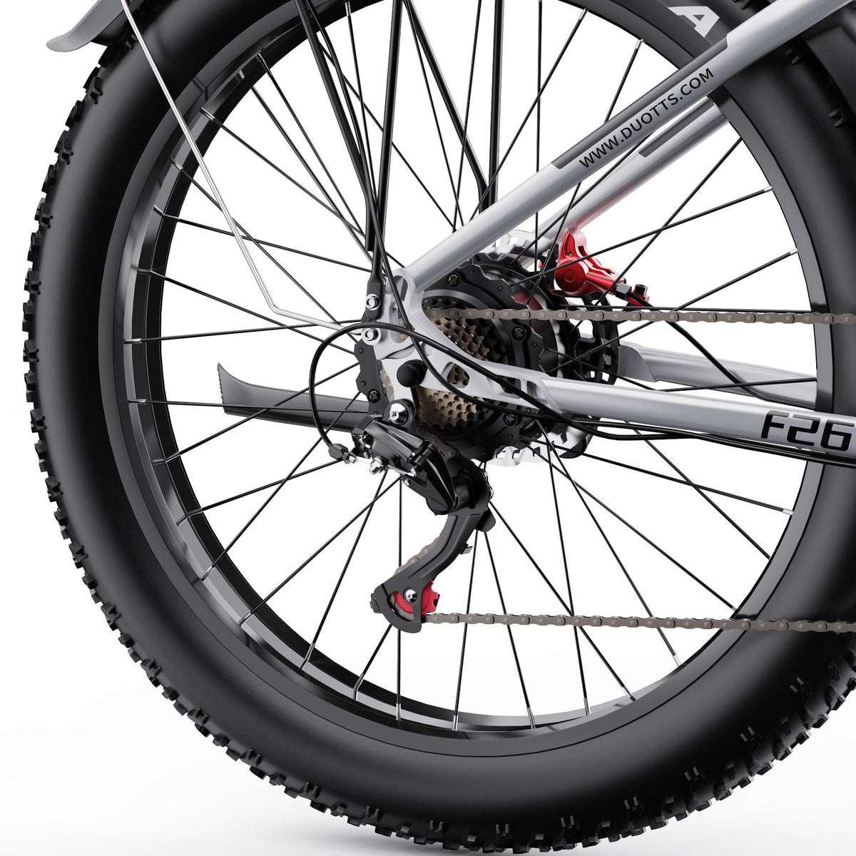 Roue arrière du Duotts F26 en gros plan