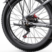 Roue arrière du Duotts F26 en gros plan