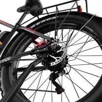 Roue arrière du Duotts F26