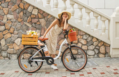 DYU C6 Pro - Elcykel - Wheelyshop