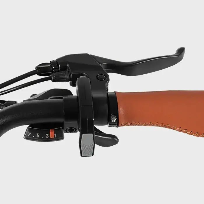 DYU C6 Pro - Elcykel - Wheelyshop