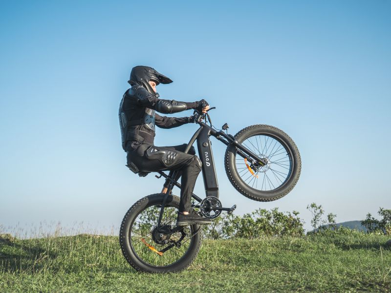 DYU King 750 - Elcykel - Wheelyshop