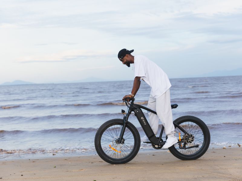 DYU King 750 - Elcykel - Wheelyshop