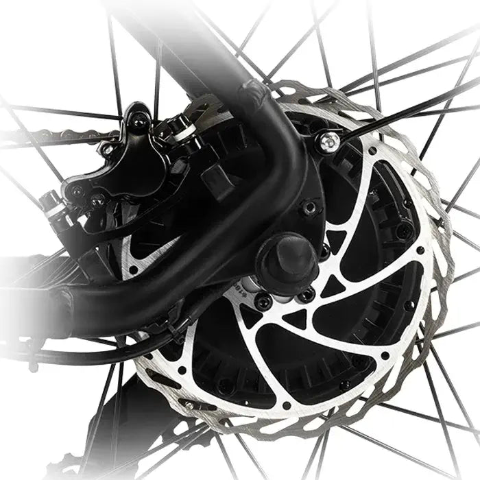 DYU King 750 - Elcykel - Wheelyshop