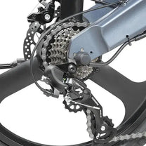 Roue arrière du DYU T1