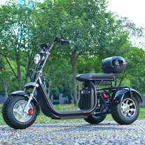 Tricycle électrique eHoodax 05WQ vu de profil dans un parc