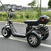 Tricycle électrique eHoodax 05WQ vu de profil sur la route